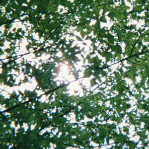 日本少妇做爰全过程二区
